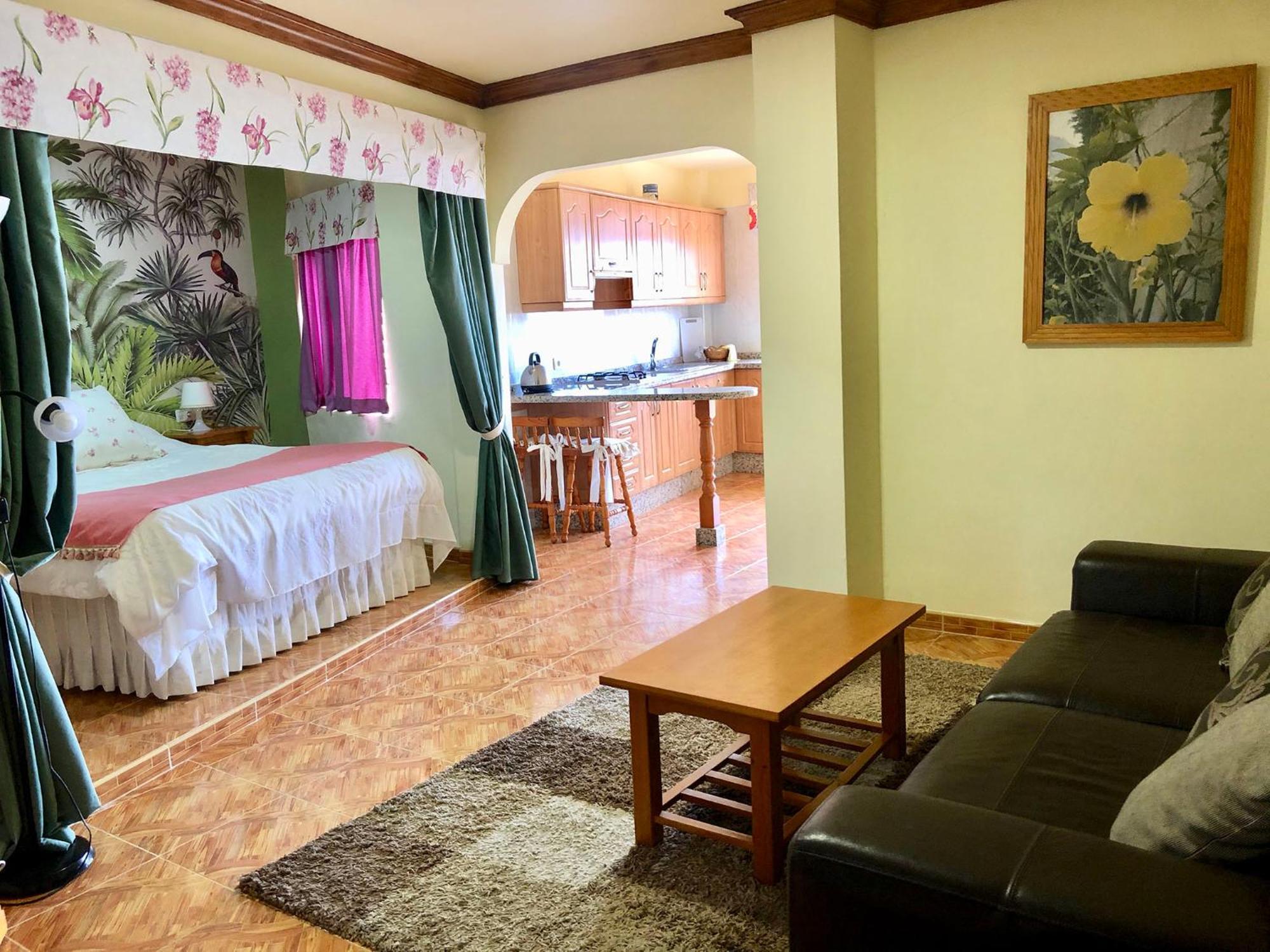 Vv Apartamentos Estrella Del Norte イコー・デ・ロス・ビノス エクステリア 写真