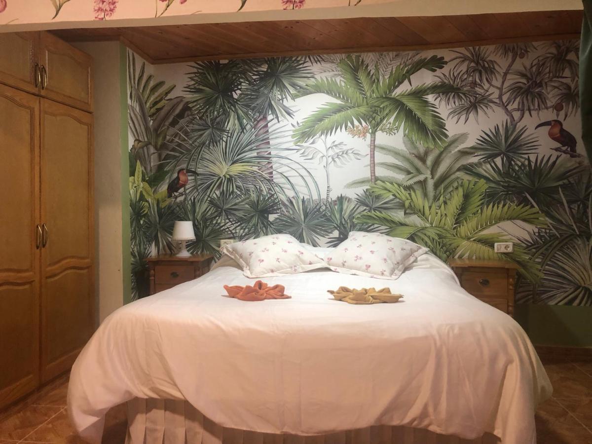 Vv Apartamentos Estrella Del Norte イコー・デ・ロス・ビノス エクステリア 写真